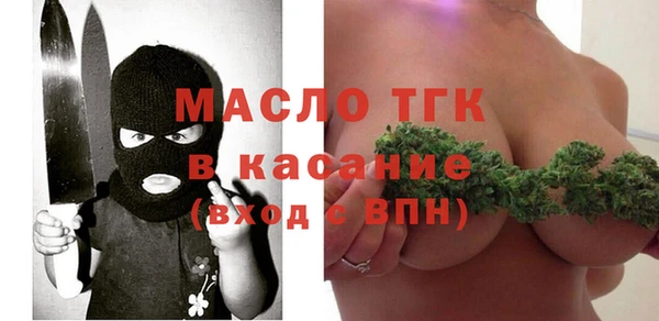 твердый Няндома