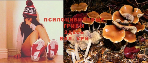 кокаин колумбия Алексин