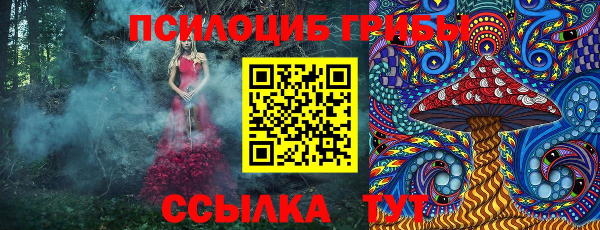 Галлюциногенные грибы Psilocybine cubensis  Вход с VPN  Сунжа 
